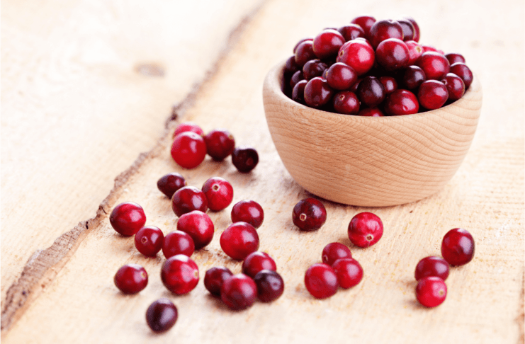 cranberry e infecção urinária em gestantes