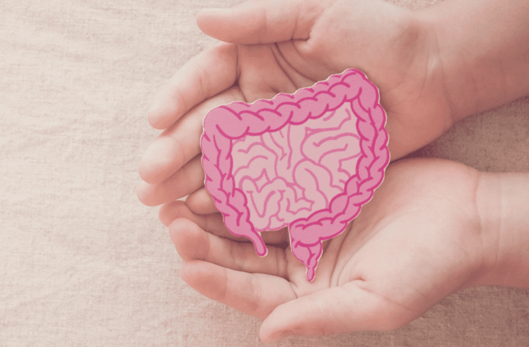 Microbiota Intestinal e Transtorno do Espectro do Autismo