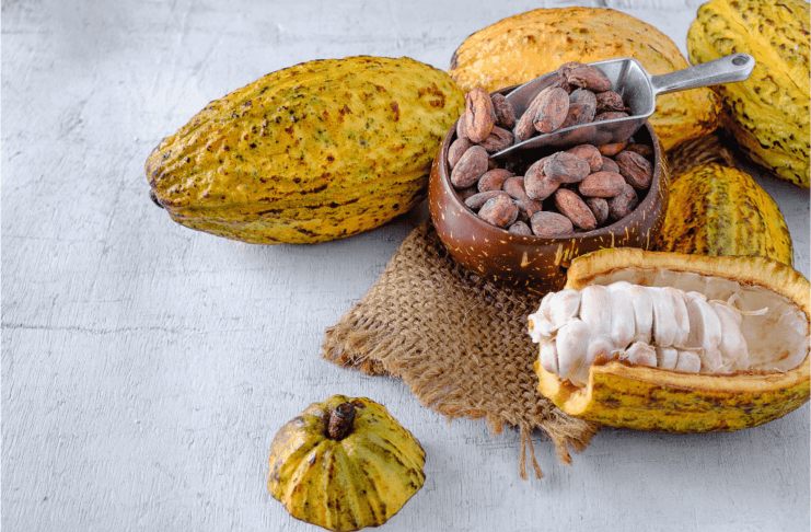 cacau e saúde ossea