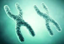 Nutrição de precisão, muito mais do que a genética nutrição de precisao