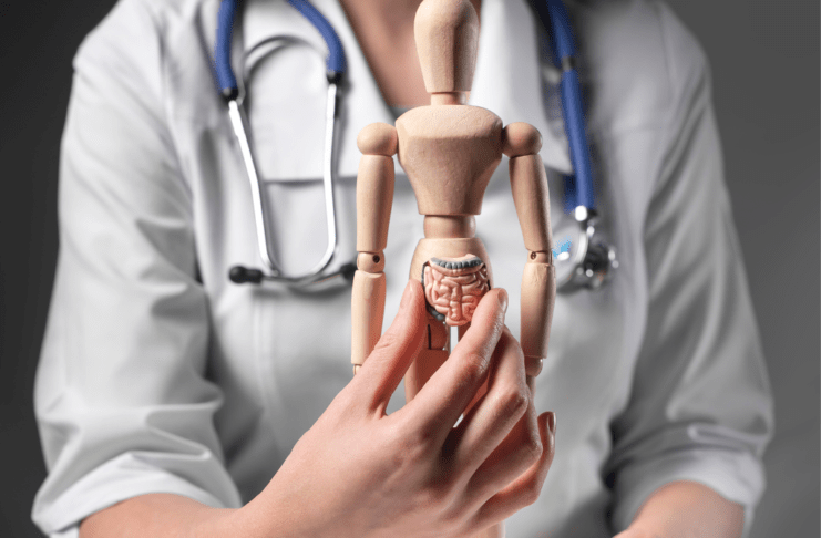 Disbiose intestinal e a sua relação com o triptofano