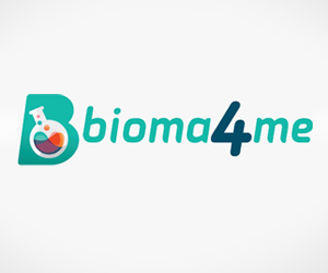 Google search engine