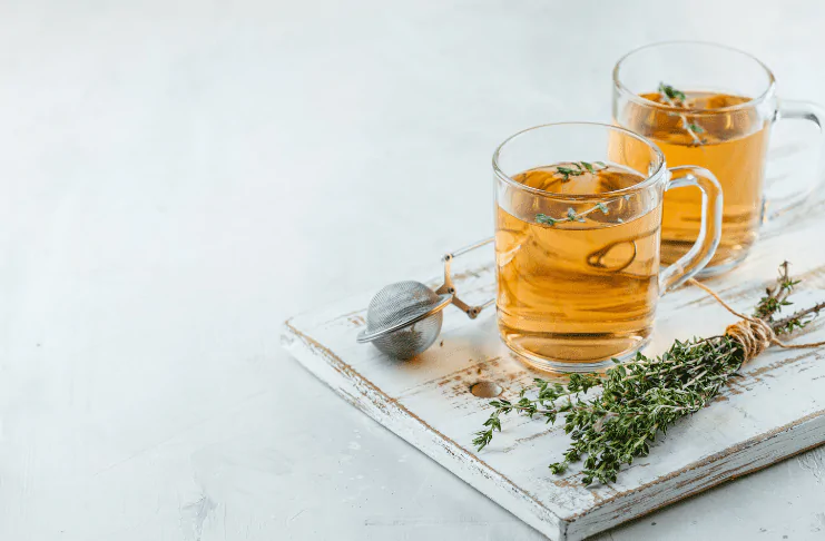 anvisa-lança-cartilha-de-fitoterápicos-e-plantas-medicinais