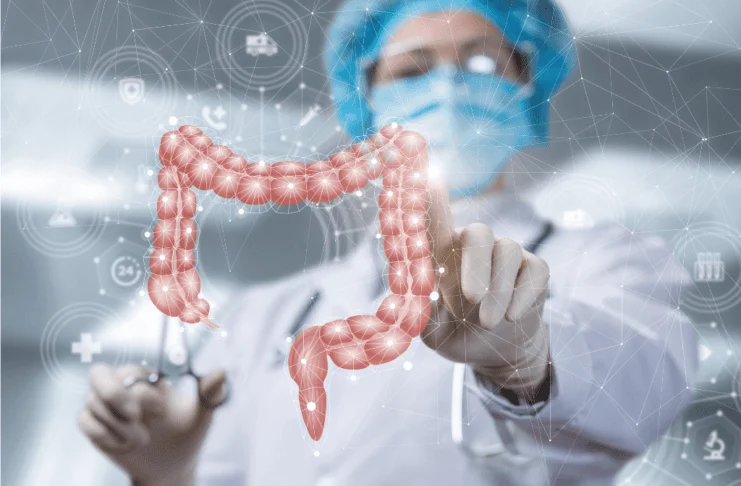 colágeno e saúde intestinal