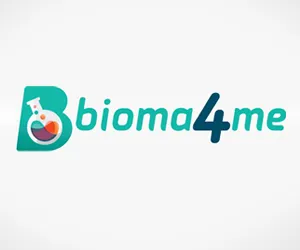 Google search engine